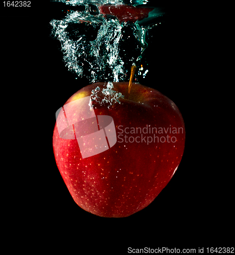 Image of Apple Falling To Water