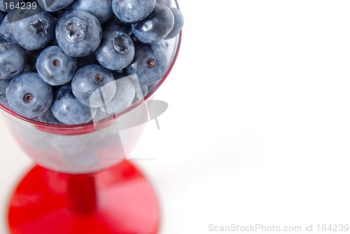 Image of Michigan Blueberries