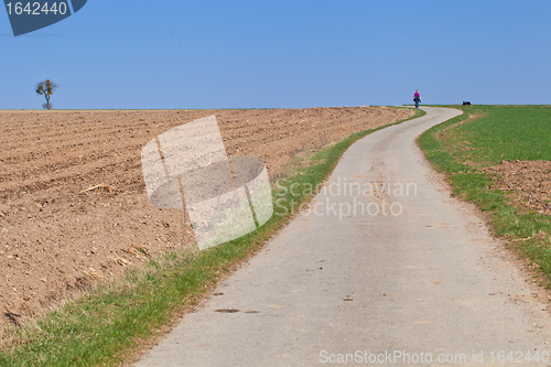 Image of Walking in the countryside