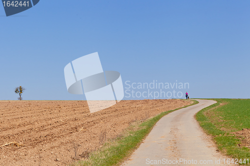 Image of Walking in the countryside