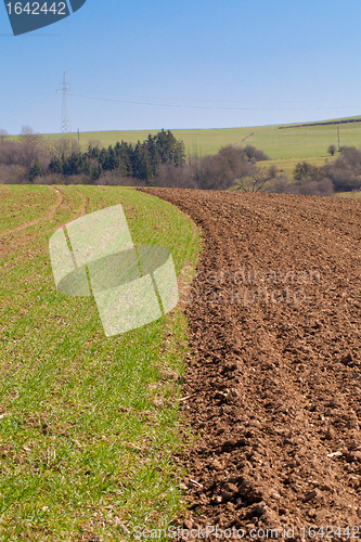 Image of Countryside field