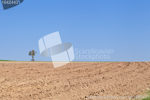 Image of Dry field