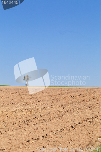 Image of Dry field