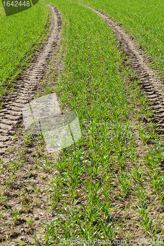 Image of Tractor traces