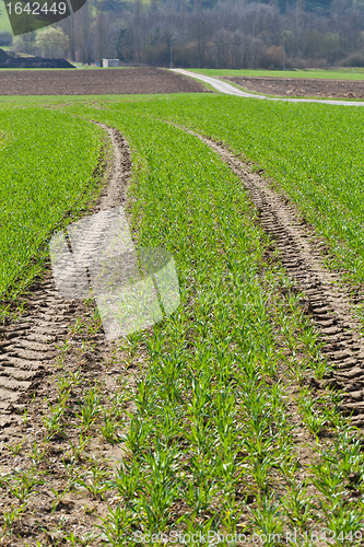 Image of Tractor traces