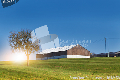 Image of Farm