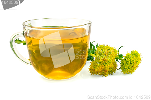 Image of Herbal Tea and Flowers Rhodiola rosea
