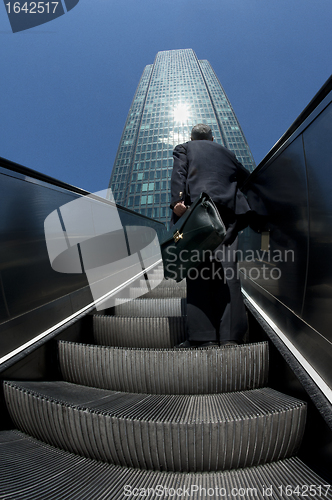 Image of Climbing the business ladder