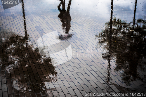 Image of Couple with umbrella walking in reflection