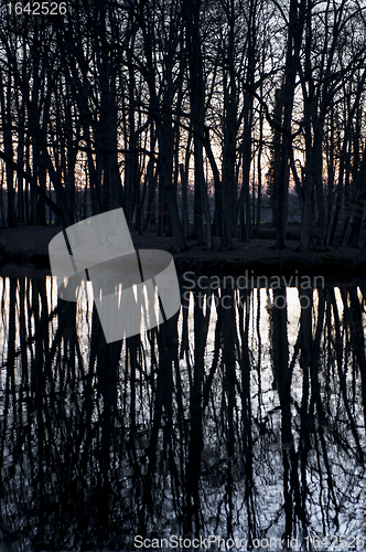 Image of Silhouette trees with sky on waterfront