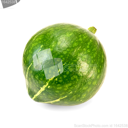 Image of Pumpkin green striped