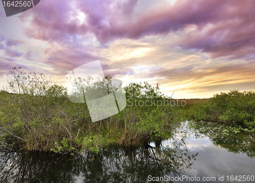 Image of Sunset On A Tropical River