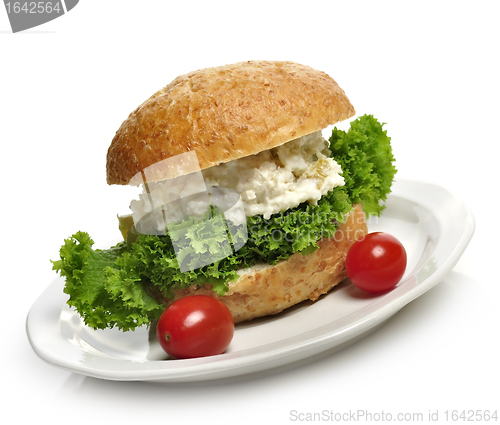 Image of Chicken Salad Sandwich