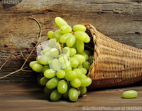 Image of Green Grapes