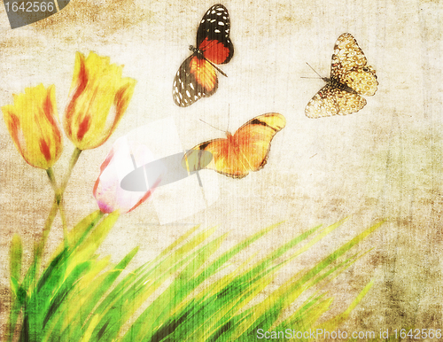 Image of Abstract Nature Background