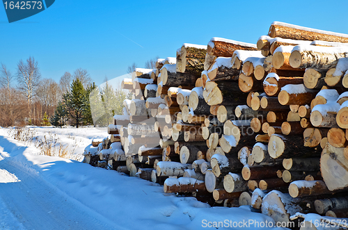 Image of Timber pile in the snow