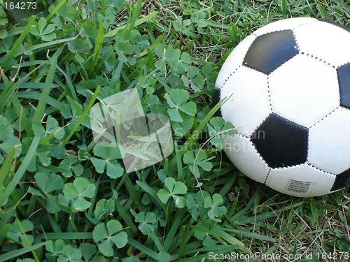 Image of Soccer ball and good luck clovers.