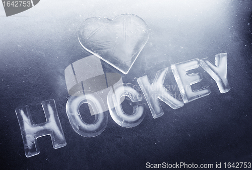 Image of I Love Hockey