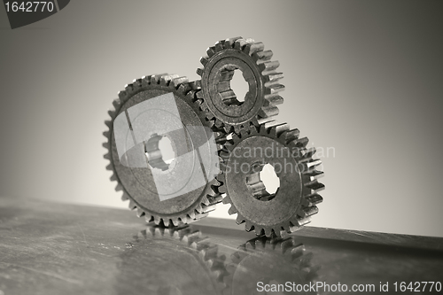 Image of Old Cogs