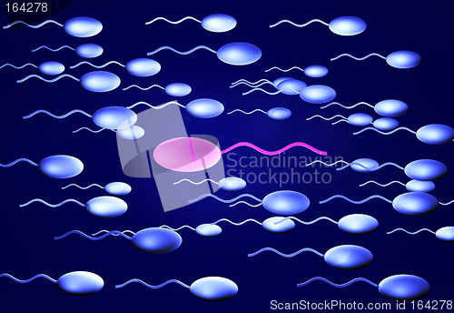 Image of Sperm