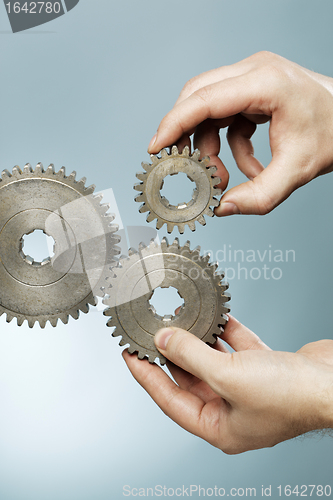 Image of Cogs