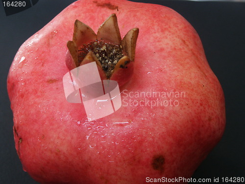 Image of Pomegranate