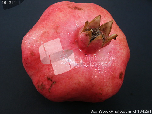 Image of Pomegranate