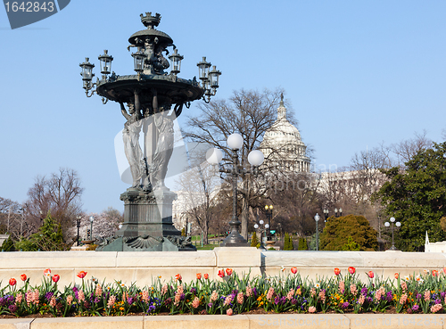 Image of Bartholdi Fountain and Capitol dome