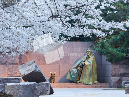 Image of Cherry blossoms and Washington FDR monument
