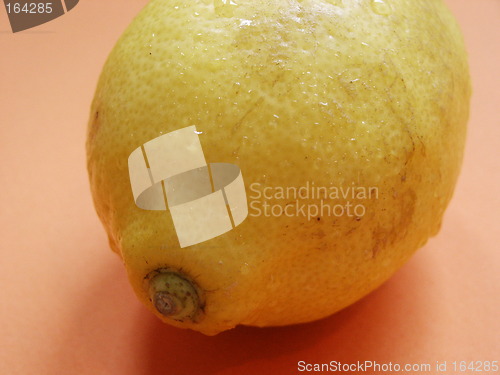 Image of Lemon