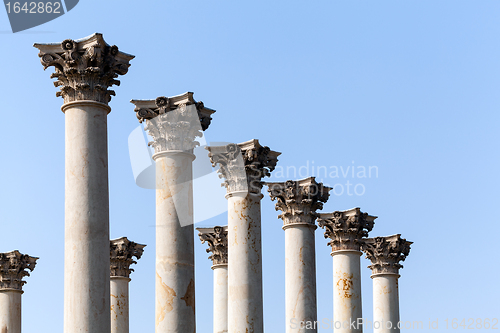 Image of Capitol columns in National Arboretum DC