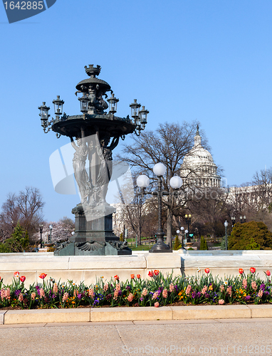 Image of Bartholdi Fountain and Capitol dome