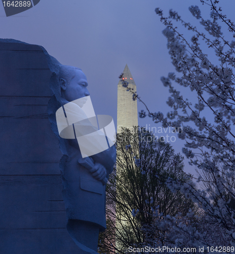 Image of Cherry blossoms and MLK monument