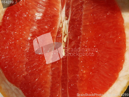 Image of grapefruit