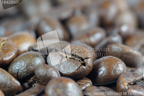 Image of Coffee beans