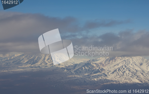 Image of of a bird eye Kamchatka