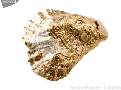 Image of Gold shell isolated on white background.