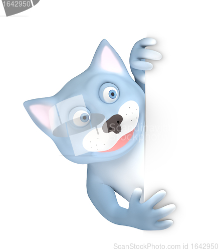 Image of Cat and wall