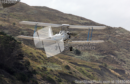 Image of Tiger Moth