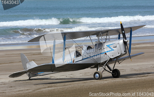 Image of Tiger Moth
