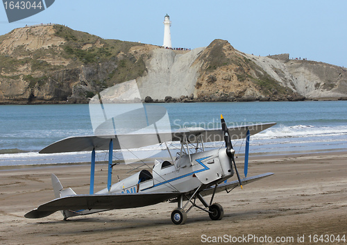 Image of Tiger Moth