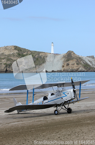 Image of Tiger Moth