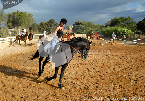 Image of training of horse competition