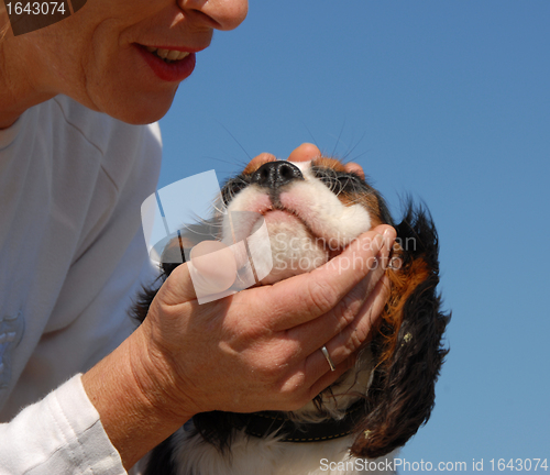 Image of smiling senior and little dog