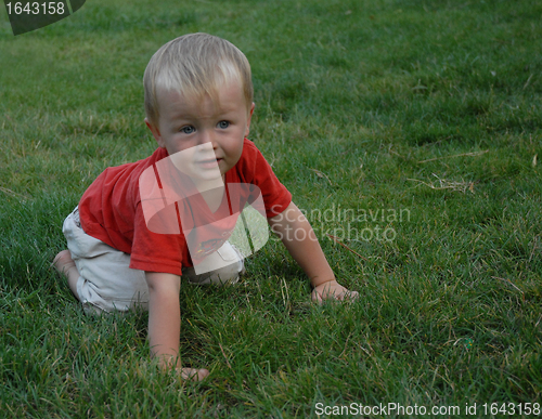 Image of baby in grass