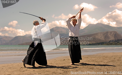 Image of aikido in japon