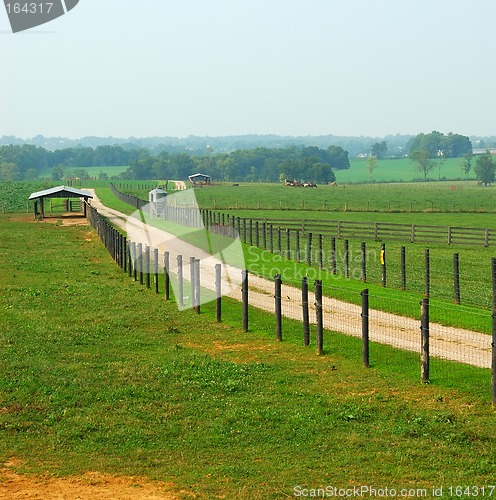 Image of Cattle Ranch in Kentucky USA