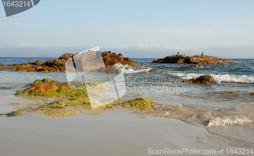 Image of wild beach in corsica