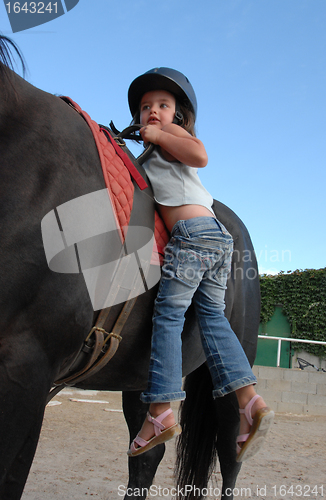 Image of little girl and big horse