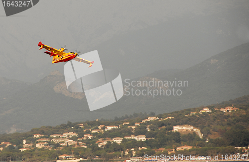 Image of Canadair in Corsica